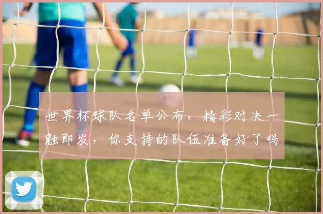 世界杯球队名单公布，精彩对决一触即发，你支持的队伍准备好了吗