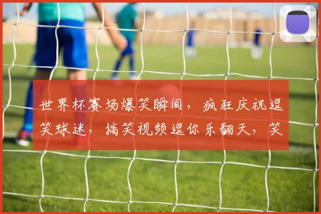世界杯赛场爆笑瞬间，疯狂庆祝逗笑球迷，搞笑视频逗你乐翻天，笑出腹肌