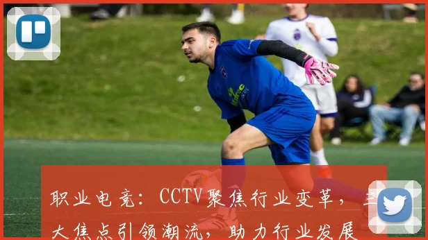职业电竞：CCTV聚焦行业变革，三大焦点引领潮流，助力行业发展