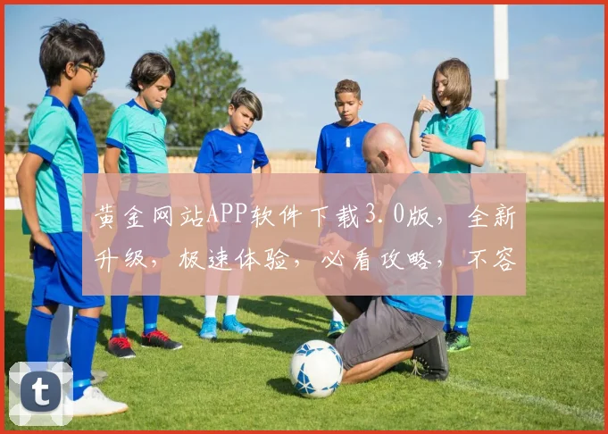 黄金网站APP软件下载3.0版，全新升级，极速体验，必看攻略，不容错过