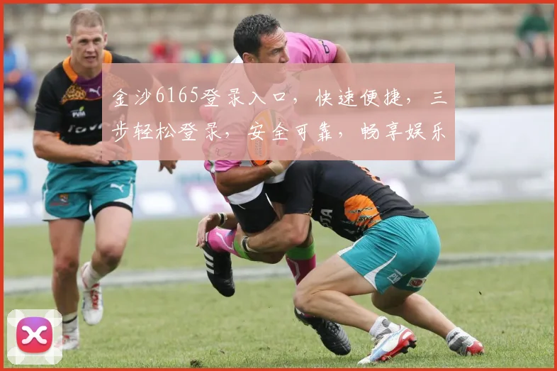 金沙6165登录入口，快速便捷，三步轻松登录，安全可靠，畅享娱乐体验，不容错过